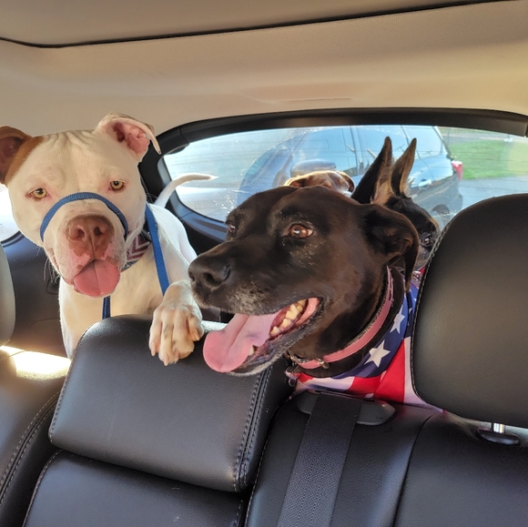 Meet your Posher, Karen - Picture 4 of 4